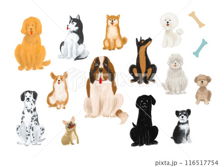 犬のイラスト素材 犬のイラスト素材 116517754