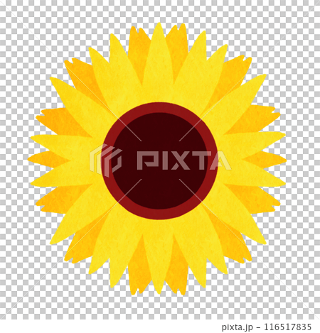 向日葵花 向日葵花 116517835