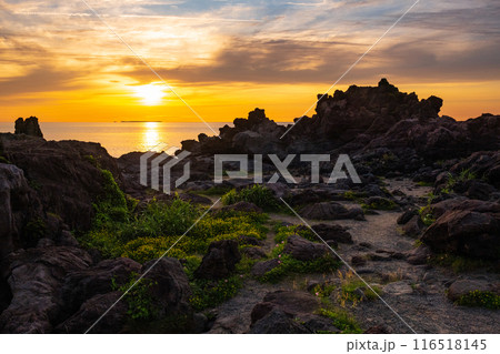 十六羅漢岩・夕景 十六羅漢岩・夕景 116518145