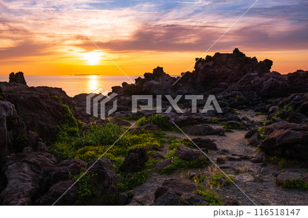 十六羅漢岩・夕景 十六羅漢岩・夕景 116518147