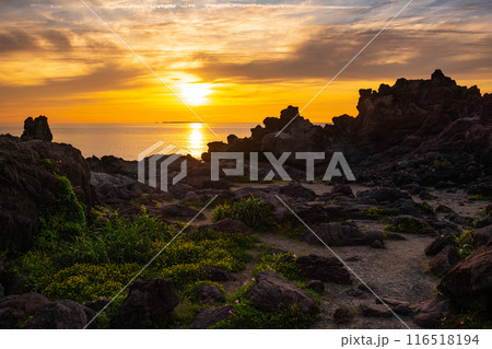 十六羅漢岩・夕景 十六羅漢岩・夕景 116518194