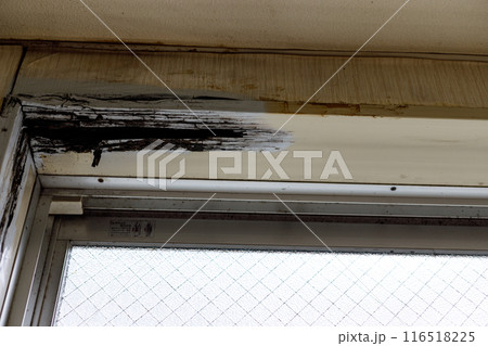 雨漏れによる窓木枠の腐食 雨漏れによる窓木枠の腐食 116518225