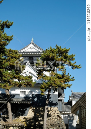初冬の青空をバックに威容を誇る岡崎城 116518269