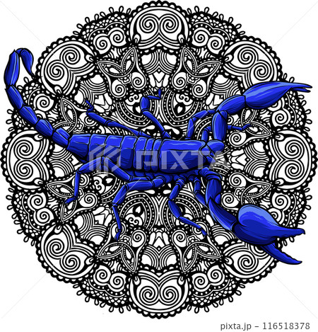 draw colored animal scorpion vector illustration design draw colored animal scorpion vector illustration design 116518378