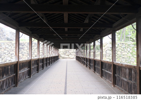 香川県高松市_高松城鞘橋11_2024年5月 香川県高松市_高松城鞘橋11_2024年5月 116518385