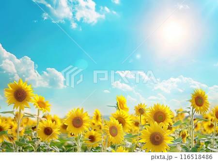 太陽に向かって 116518486