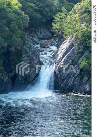 屋久島のトローキの滝(海に落ちる滝) 屋久島のトローキの滝(海に落ちる滝) 116518670