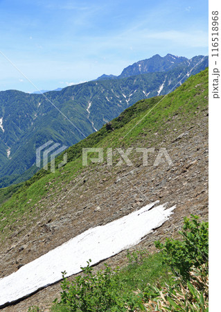白馬 夏の八方尾根 白馬 夏の八方尾根 116518968
