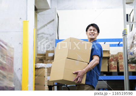 倉庫で働く若い男性 重労働 倉庫で働く若い男性 重労働 116519590