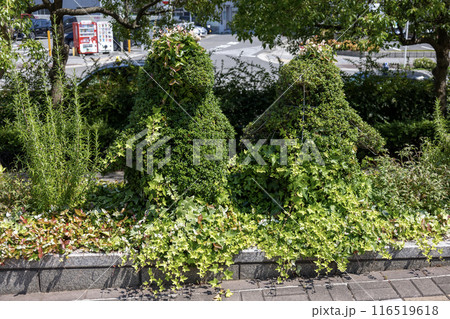 生き物の形にカットされた植栽 116519618