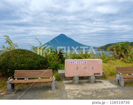 鹿児島県指宿市_長崎鼻から見る開聞岳の風景 116519730