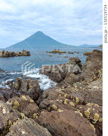 鹿児島県指宿市_長崎鼻から見る開聞岳の風景 116519734
