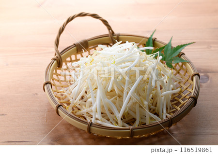 もやし もやし 116519861