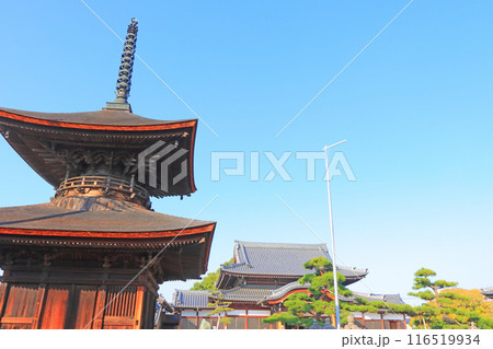 愛知県名古屋市、荒子観音多宝塔と本堂の風景 愛知県名古屋市、荒子観音多宝塔と本堂の風景 116519934