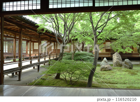 初夏の潮音庭　建仁寺　京都市東山区 116520210