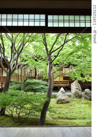 初夏の潮音庭 建仁寺 京都市東山区 初夏の潮音庭 建仁寺 京都市東山区 116520212