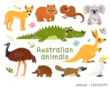 Cartoon australian animals. Wild exotic animal, childish mascots. Funny mammals, koala kangaroo wombat dingo dog. Classy vector characters 116520279
