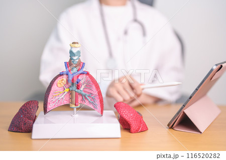 Doctor with Smoker and normal Lung anatomy for Disease. Lung Cancer, Asthma, Chronic Obstructive Pulmonary or COPD, Bronchitis, Emphysema, Cystic Fibrosis, Bronchiectasis, Pneumonia and world Lung day 116520282
