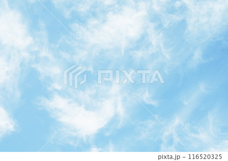さわやかな青空に浮かぶ雲 さわやかな青空に浮かぶ雲 116520325