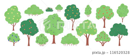 Garden fruit plants. Harvest time, trees and bushes with berries and fruits. Apple orange peach grape blackberry pomegranate, racy vector clipart 116520328