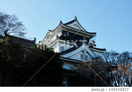 冬空をバックに威容を誇る岡崎城 冬空をバックに威容を誇る岡崎城 116520827