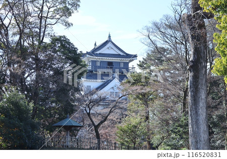 冬空をバックに威容を誇る岡崎城 冬空をバックに威容を誇る岡崎城 116520831