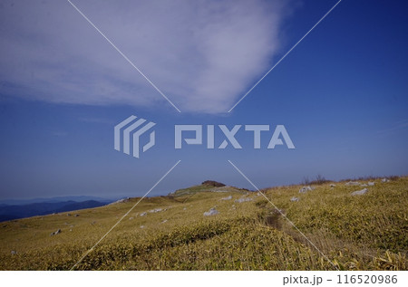 早朝の四国カルスト 早朝の四国カルスト 116520986