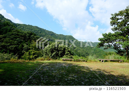 三重県多気郡大台町_相津峠ヤマザクラ展望所付近10_2023年8月 三重県多気郡大台町_相津峠ヤマザクラ展望所付近10_2023年8月 116521503