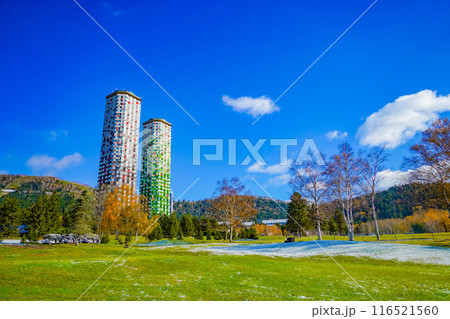 カラフルな高層ビルのイメージ 116521560