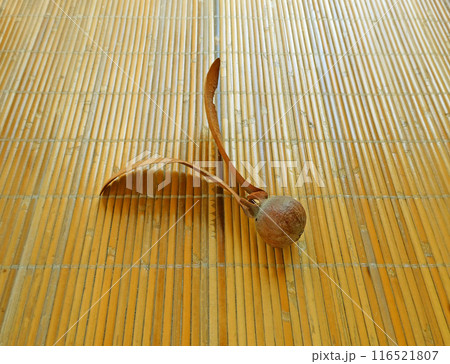 2つの翼を持つ不思議な木の実! rattanのむしろとフタバガキの実の写真 116521807