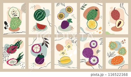 Exotic fruits posters set. Colorful jackfruit, watermelon and mangostin. Whole and half isolated food cards. Abstract vertical banner. Lychee and guava. Vector cartoon flat isolated illustration 116522168