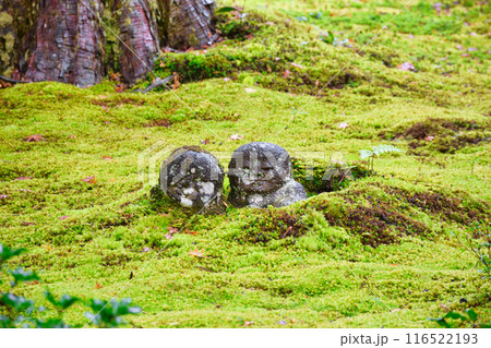 大原　三千院　わらべ地蔵ともみじ（京都市左京区） 116522193