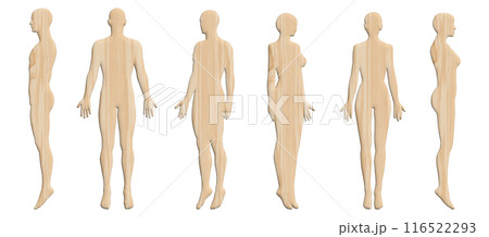3Dモデル 木製の男性と女性の人体ボディのイラストセット 全身正面 横向き 斜めのバリエーション 116522293