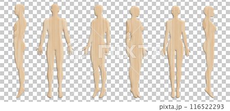 3Dモデル 木製の男性と女性の人体ボディのイラストセット 全身正面 横向き 斜めのバリエーション 116522293