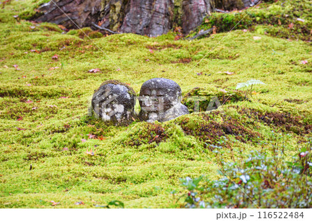 大原 三千院 わらべ地蔵ともみじ(京都市左京区) 大原 三千院 わらべ地蔵ともみじ(京都市左京区) 116522484