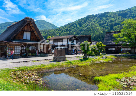 世界遺産 初夏の白川郷の合掌造り 白川村 116522514
