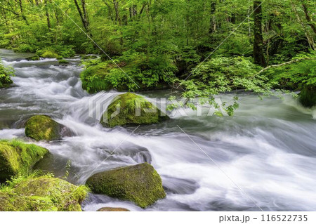 夏の奥入瀬渓流　石ヶ戸の瀬　青森県十和田市 116522735