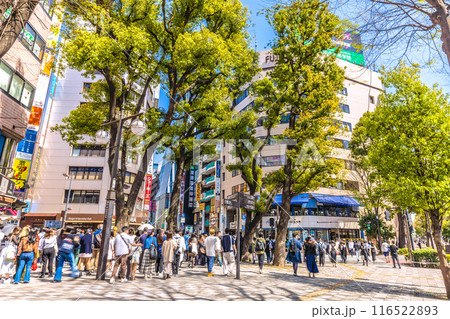日本の東京都市景観 池袋駅前。SUNSHINE60ST（画面奥）などの繁華街を望む＝31日 116522893