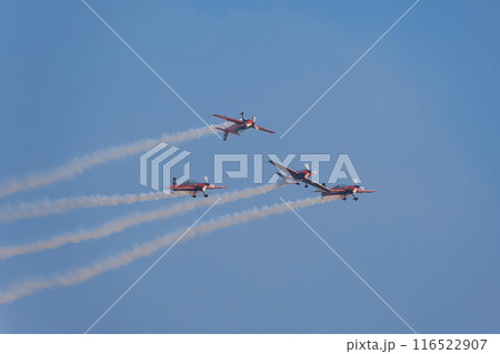 ヨルダン空軍ファルコンズの演技 116522907