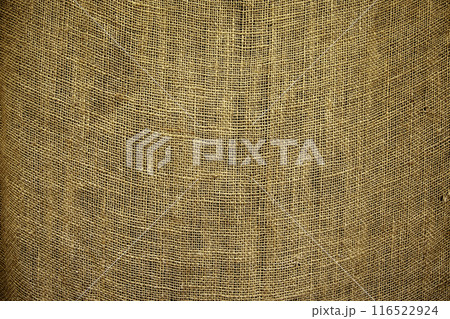 Detail of fabric woven with herbs, ancient art and crafts 116522924