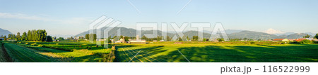 Incredible natural beauty of Mission, Fraser Valley, BC, Canada Incredible natural beauty of Mission, Fraser Valley, BC, Canada 116522999