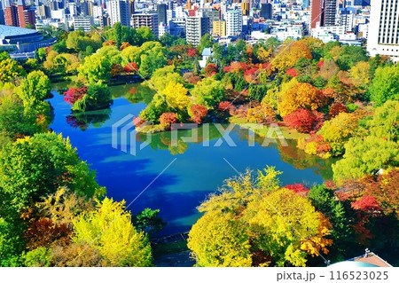 秋の中島公園の風景　（北海道札幌市中央区） 116523025