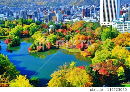 秋の中島公園の風景 (北海道札幌市中央区) 秋の中島公園の風景 (北海道札幌市中央区) 116523030