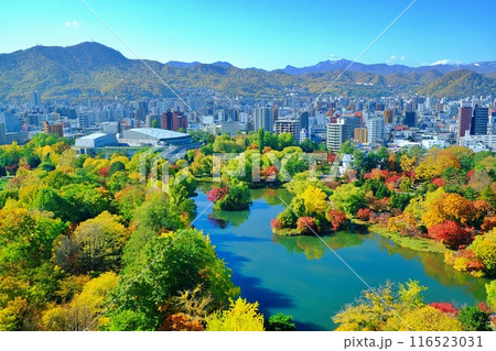 秋の中島公園の風景　（北海道札幌市中央区） 116523031
