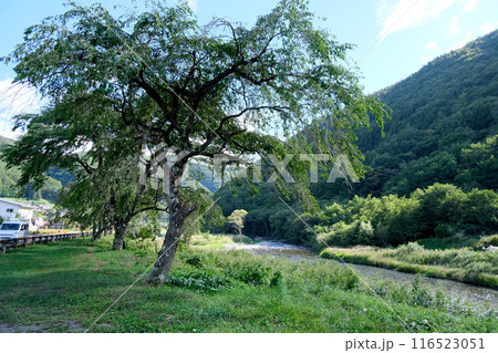 長野県木曽郡木祖村薮原_水の始発駅付近風景7_2023年9月 長野県木曽郡木祖村薮原_水の始発駅付近風景7_2023年9月 116523051