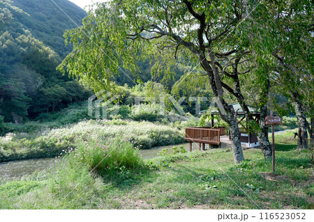 長野県木曽郡木祖村薮原_水の始発駅付近風景5_2023年9月 長野県木曽郡木祖村薮原_水の始発駅付近風景5_2023年9月 116523052