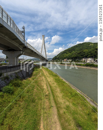 猪名川に架かる新猪名川大橋と五月山の風景 猪名川に架かる新猪名川大橋と五月山の風景 116523161