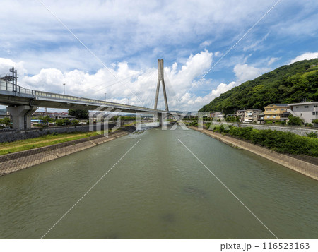 猪名川に架かる新猪名川大橋と五月山の風景 116523163