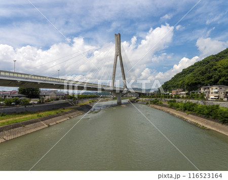 猪名川に架かる新猪名川大橋と五月山の風景 猪名川に架かる新猪名川大橋と五月山の風景 116523164