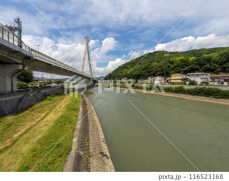 猪名川に架かる新猪名川大橋と五月山の風景 116523168